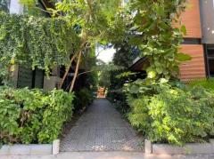  ให้เช่าอาคารสำนักงาน 3 ชั้น พื้นที่ใช้สอย 1,170 ตร.ม. บนที่ดินขนาด 543 ตร.ว.-202511102122391762784559625.jpg