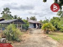 ขายบ้านเดี่ยวพร้อมที่ดิน เนื้อที่ 1 ไร่ 2 งาน 11.7 ตร.วา วังทอง พิษณุโลก-202511102154491762786489053.jpg