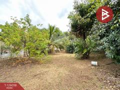 ขายบ้านเดี่ยวพร้อมที่ดิน เนื้อที่ 1 ไร่ 2 งาน 11.7 ตร.วา วังทอง พิษณุโลก-202511102154491762786489597.jpg