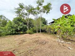 ขายบ้านเดี่ยวพร้อมที่ดิน เนื้อที่ 1 ไร่ 2 งาน 11.7 ตร.วา วังทอง พิษณุโลก-202511102154501762786490688.jpg