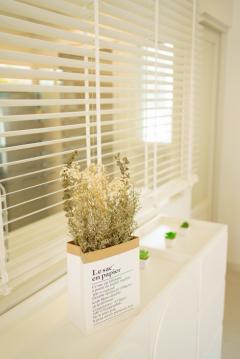 NG022 ให้เช่า ชัยพฤกษ์ บางนา กม.15 โครงการติดถนนใหญ่ส่วนกลางดีมาก ทิศใต้ เย็นสบายร่มมาก-202511102257011762790221749.jpg