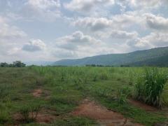มูลค่าทวีเพิ่มพูนทรัพย์ในดิน ขายที่ดินสวยติดภูเขา เทือกเขายาวเรียงแนว ดินดีสมบูรณ์ทรัพย์ในดิน ฟ้าใสวิวหลักล้าน ต.นาจาน อ.สีชมพู จ.ขอนแก่น 