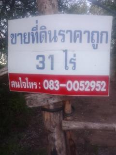 มูลค่าทวีเพิ่มพูนทรัพย์ในดิน ขายที่สวยติดทางหลวง1107 บ้านตาก จ.ตาก คมนาคมสะดวก ไร่ละ 300000 ต.ตากตก อ.บ้านตาก  จ.ตาก  0837124115
