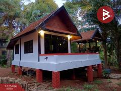 ขายบ้านพักตากอากาศ รีโนเวทใหม่ เนื้อที่ 1 งาน 99 ตร.วา เกาะหมาก ตราด-202511111037431762832263903.jpg