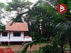 ขายบ้านพักตากอากาศ รีโนเวทใหม่ เนื้อที่ 1 งาน 99 ตร.วา เกาะหมาก ตราด-202511111037481762832268150.jpg