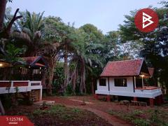 ขายบ้านพักตากอากาศ รีโนเวทใหม่ เนื้อที่ 1 งาน 99 ตร.วา เกาะหมาก ตราด-202511111037481762832268704.jpg