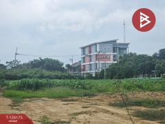 ขายที่ดิน เนื้อที่ 1 ไร่ 3 งาน 36 ตร.วา กำแพงแสน นครปฐม-202511111053541762833234775.jpg