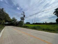 ขายที่ดินหนองใหญ่ชลบุรี ขายที่ดิน 12 ไร่ ใกล้สี่แยกเซ็นเตอร์ 500 ม.