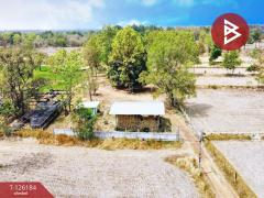 ขายที่ดินพร้อมสิ่งปลูกสร้าง เนื้อที่ 38 ไร่ 1 งาน 98.9 ตร.วา เสนางคนิคม อำนาจเจริญ-202511111140401762836040490.jpg