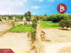 ขายที่ดินพร้อมสิ่งปลูกสร้าง เนื้อที่ 38 ไร่ 1 งาน 98.9 ตร.วา เสนางคนิคม อำนาจเจริญ-202511111140411762836041035.jpg