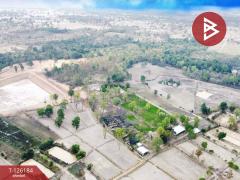 ขายที่ดินพร้อมสิ่งปลูกสร้าง เนื้อที่ 38 ไร่ 1 งาน 98.9 ตร.วา เสนางคนิคม อำนาจเจริญ-202511111140411762836041574.jpg