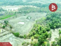 ขายที่ดินพร้อมสิ่งปลูกสร้าง เนื้อที่ 38 ไร่ 1 งาน 98.9 ตร.วา เสนางคนิคม อำนาจเจริญ-202511111140421762836042109.jpg