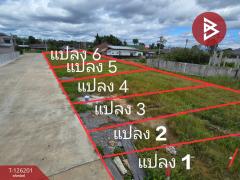 ขายที่ดิน-เนื้อที่-1-ไร่-2-งาน-3.8-ตร.วา-บ