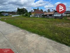 ขายที่ดิน เนื้อที่ 1 ไร่ 2 งาน 3.8 ตร.วา บางกะจะ จันทบุรี-202511111150361762836636488.jpg