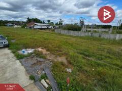 ขายที่ดิน เนื้อที่ 1 ไร่ 2 งาน 3.8 ตร.วา บางกะจะ จันทบุรี-202511111150391762836639166.jpg