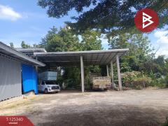 ขายบ้านเดี่ยวพร้อมที่ดิน เนื้อที่ 2 งาน 69.6 ตารางวา นาอาน เลย-202511111358581762844338175.jpg