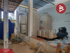 ขายบ้านเดี่ยวพร้อมที่ดิน เนื้อที่ 2 งาน 69.6 ตารางวา นาอาน เลย-202511111358591762844339774.jpg