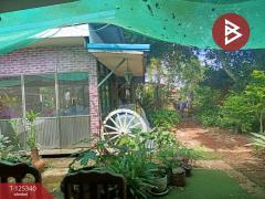 ขายบ้านเดี่ยวพร้อมที่ดิน เนื้อที่ 2 งาน 69.6 ตารางวา นาอาน เลย-202511111359031762844343480.jpg