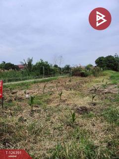 ขายด่วนที่ดิน-145-ตารางวา-นนทบุรี-เส้น