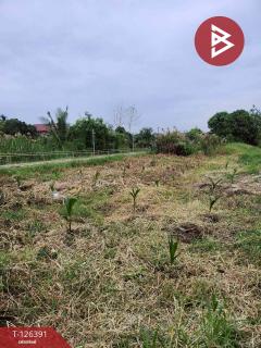 ขายด่วนที่ดิน 145 ตารางวา นนทบุรี เส้นถนนนครอินทร์ ในซอยวัดจำปา นนทบุรี-202511111432211762846341543.jpg