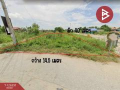 ขายด่วนที่ดิน 145 ตารางวา นนทบุรี เส้นถนนนครอินทร์ ในซอยวัดจำปา นนทบุรี-202511111432221762846342082.jpg