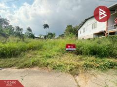 ขายที่ดินถมแล้ว เนื้อที่ 60 ตารางวา มาบข่า ระยอง-202511111444231762847063111.jpg