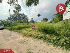 ขายที่ดินถมแล้ว เนื้อที่ 60 ตารางวา มาบข่า ระยอง-202511111444231762847063652.jpg