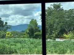 ที่ดินแปลงสวย ใกล้ตลาดนัดท่าช้าง-เซเว่น ทำเลใกล้บ่อน้ำผุดและพิพิธภัณฑ์ศิลปะ ราคาเพียง 1,000,000 บาท