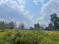 ที่ดินแปลงสวย ใกล้ตลาดนัดท่าช้าง-เซเว่น ทำเลใกล้บ่อน้ำผุดและพิพิธภัณฑ์ศิลปะ ราคาเพียง 1,000,000 บาท-202511111500301762848030618.jpg