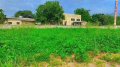 ที่ดินแปลงสวย ใกล้ตลาดนัดท่าช้าง-เซเว่น ทำเลใกล้บ่อน้ำผุดและพิพิธภัณฑ์ศิลปะ ราคาเพียง 1,000,000 บาท-202511111500321762848032415.jpg