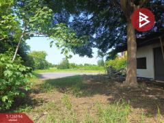 ขายที่ดินพร้อมสิ่งปลูกสร้าง เนื้อที่ 12 ไร่ 5 ตร.วา ลาดกระบัง กรุงเทพมหานคร-202511111511241762848684587.jpg