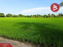 ขายที่ดินพร้อมสิ่งปลูกสร้าง เนื้อที่ 12 ไร่ 5 ตร.วา ลาดกระบัง กรุงเทพมหานคร-202511111511261762848686203.jpg