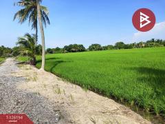 ขายที่ดินพร้อมสิ่งปลูกสร้าง เนื้อที่ 12 ไร่ 5 ตร.วา ลาดกระบัง กรุงเทพมหานคร-202511111511261762848686738.jpg