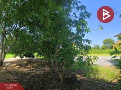 ขายที่ดินพร้อมสิ่งปลูกสร้าง เนื้อที่ 12 ไร่ 5 ตร.วา ลาดกระบัง กรุงเทพมหานคร-202511111511271762848687273.jpg