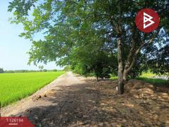 ขายที่ดินพร้อมสิ่งปลูกสร้าง เนื้อที่ 12 ไร่ 5 ตร.วา ลาดกระบัง กรุงเทพมหานคร-202511111511281762848688344.jpg