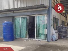 ให้เช่าโกดังพร้อมออฟฟิศ เนื้อที่ 60 ตร.วา บางพลี สมุทรปราการ-202511111514091762848849453.jpg