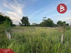 ขายที่ดิน เนื้อที่ 1 งาน 98.5 ตร.วา พระนอน นครสวรรค์-202511111542451762850565804.jpg