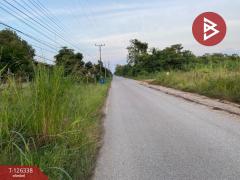 ขายที่ดิน เนื้อที่ 1 งาน 98.5 ตร.วา พระนอน นครสวรรค์-202511111542461762850566900.jpg