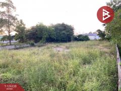 ขายที่ดิน เนื้อที่ 1 งาน 98.5 ตร.วา พระนอน นครสวรรค์-202511111542471762850567449.jpg