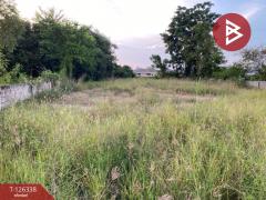 ขายที่ดิน เนื้อที่ 1 งาน 98.5 ตร.วา พระนอน นครสวรรค์-202511111542481762850568001.jpg