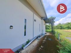 ขายบ้านเดี่ยวชั้นเดียว เนื้อที่ 200 ตารางวา หนองปลิง นครสวรรค์-202511111547071762850827717.jpg