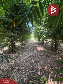 ขายที่ดิน เนื้อที่ 2 ไร่ 1 งาน 8 ตร.วา บ้านโป่ง ราชบุรี-202511111619271762852767461.jpg