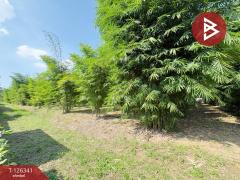 ขายที่ดิน เนื้อที่ 2 ไร่ 1 งาน 8 ตร.วา บ้านโป่ง ราชบุรี-202511111619271762852767996.jpg