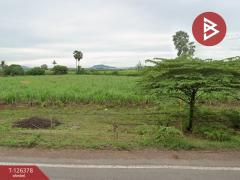 ขายที่ดิน เนื้อที่ 5 ไร่ 35 ตร.วา โพธาราม ราชบุรี-202511111620261762852826277.jpg