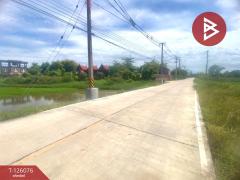 ขายที่ดิน เนื้อที่ 1 ไร่ 1 งาน 86 ตร.วา คลองนครเนื่องเขต ฉะเชิงเทรา-202511111650441762854644485.jpg