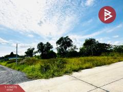 ขายที่ดิน เนื้อที่ 1 ไร่ 1 งาน 86 ตร.วา คลองนครเนื่องเขต ฉะเชิงเทรา-202511111650451762854645025.jpg