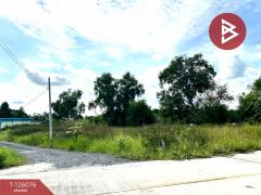 ขายที่ดิน เนื้อที่ 1 ไร่ 1 งาน 86 ตร.วา คลองนครเนื่องเขต ฉะเชิงเทรา-202511111650461762854646688.jpg