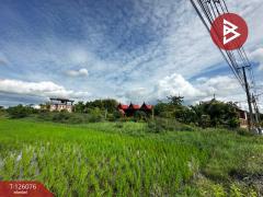 ขายที่ดิน เนื้อที่ 1 ไร่ 1 งาน 86 ตร.วา คลองนครเนื่องเขต ฉะเชิงเทรา-202511111650471762854647849.jpg