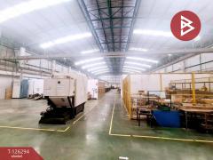 ขายโกดังพร้อมที่ดิน เนื้อที่ 5 ไร่ 71 ตร.วา บางน้ำเปรี้ยว ฉะเชิงเทรา-202511111714281762856068908.jpg