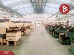 ขายโกดังพร้อมที่ดิน เนื้อที่ 5 ไร่ 71 ตร.วา บางน้ำเปรี้ยว ฉะเชิงเทรา-202511111714311762856071724.jpg